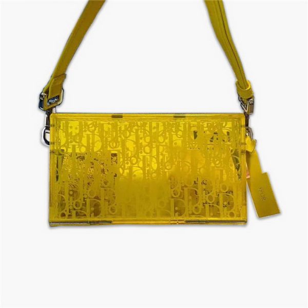 Dior Acrylic Shoulder Bags