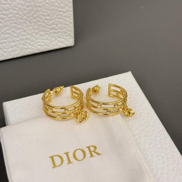 dior hoop earrings