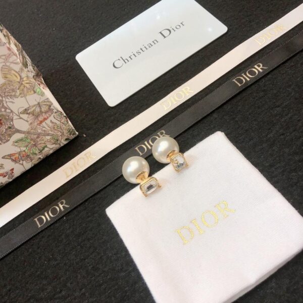 Dior earrings same as counter (C9E2)