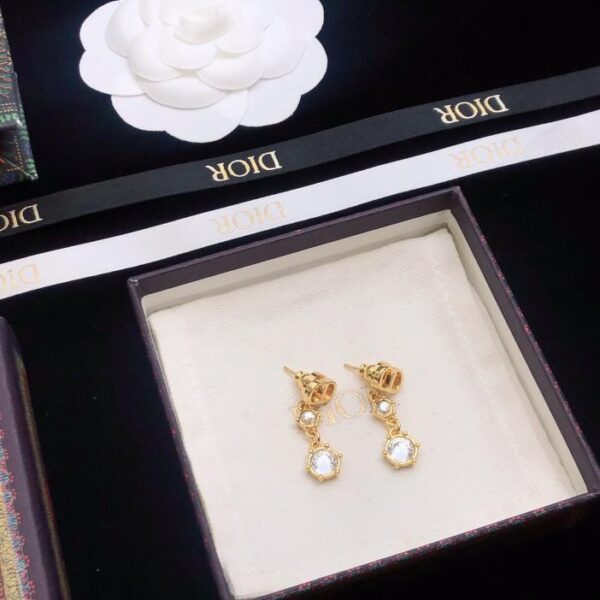 Dior earrings counter (83B7)