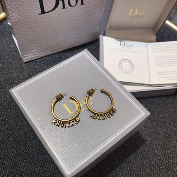 Dior earrings counter (5C11)