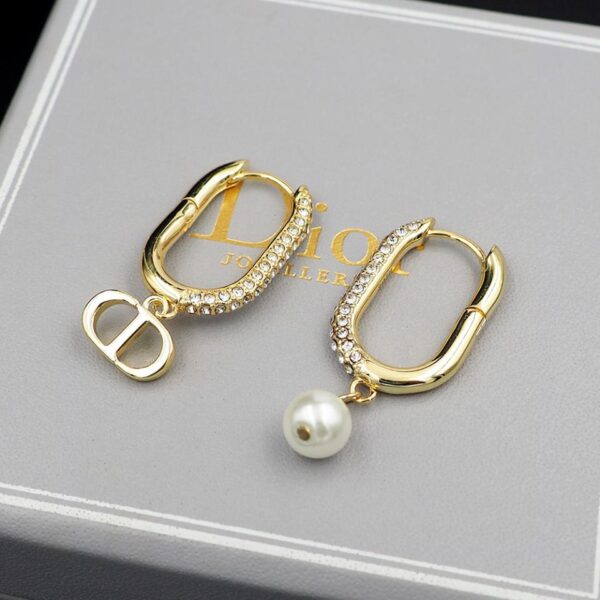 Dior D-Fusion earrings(6D52)