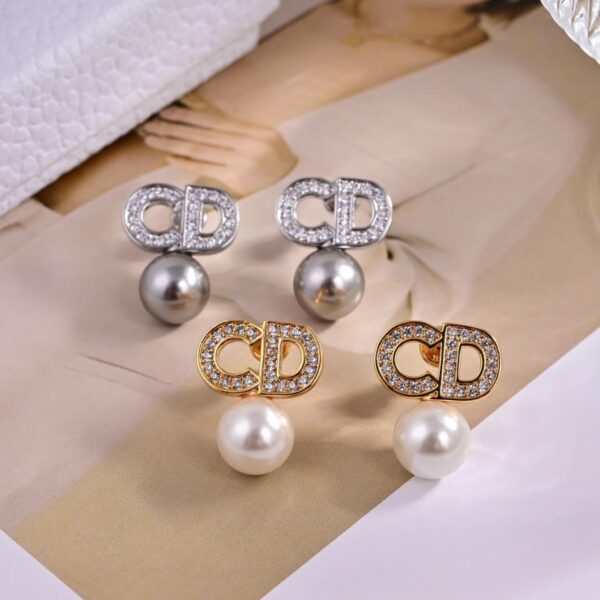 Dior new letter earrings (054A)