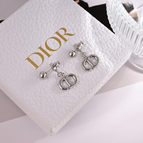 Dior new letter earrings (D6C1)