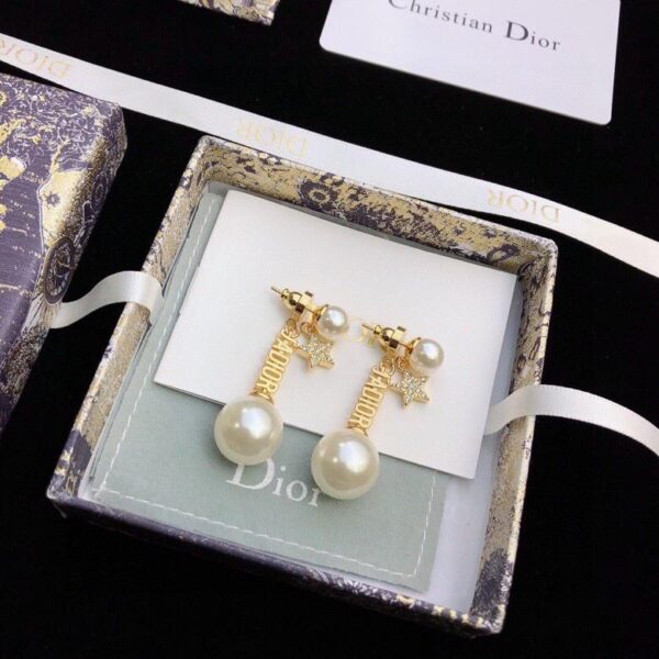 Dior new letter earrings counter consistent (6CA4)