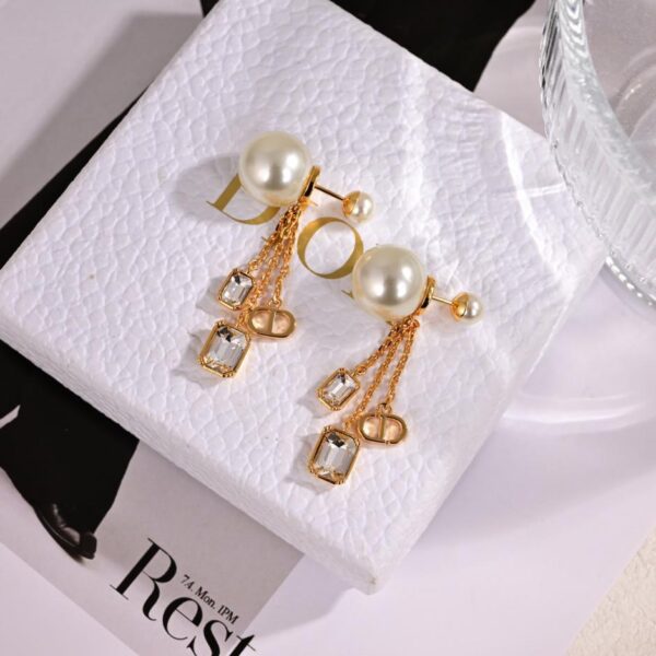 Dior new letter earrings (7612)