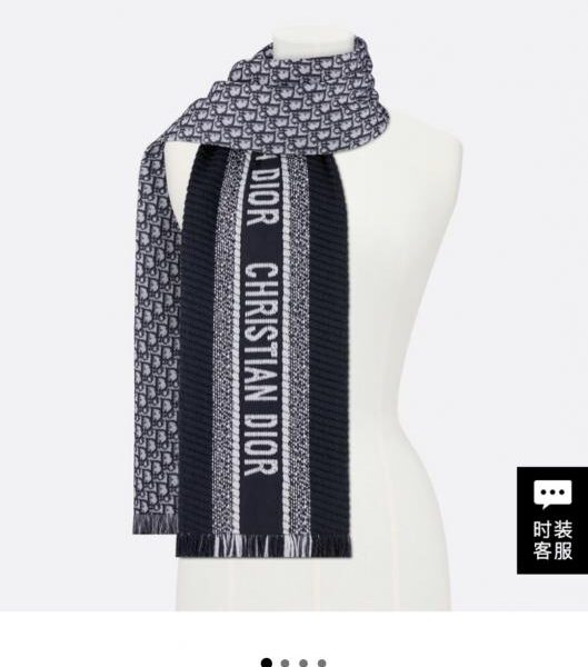 Dior scarf(6PVZ6)